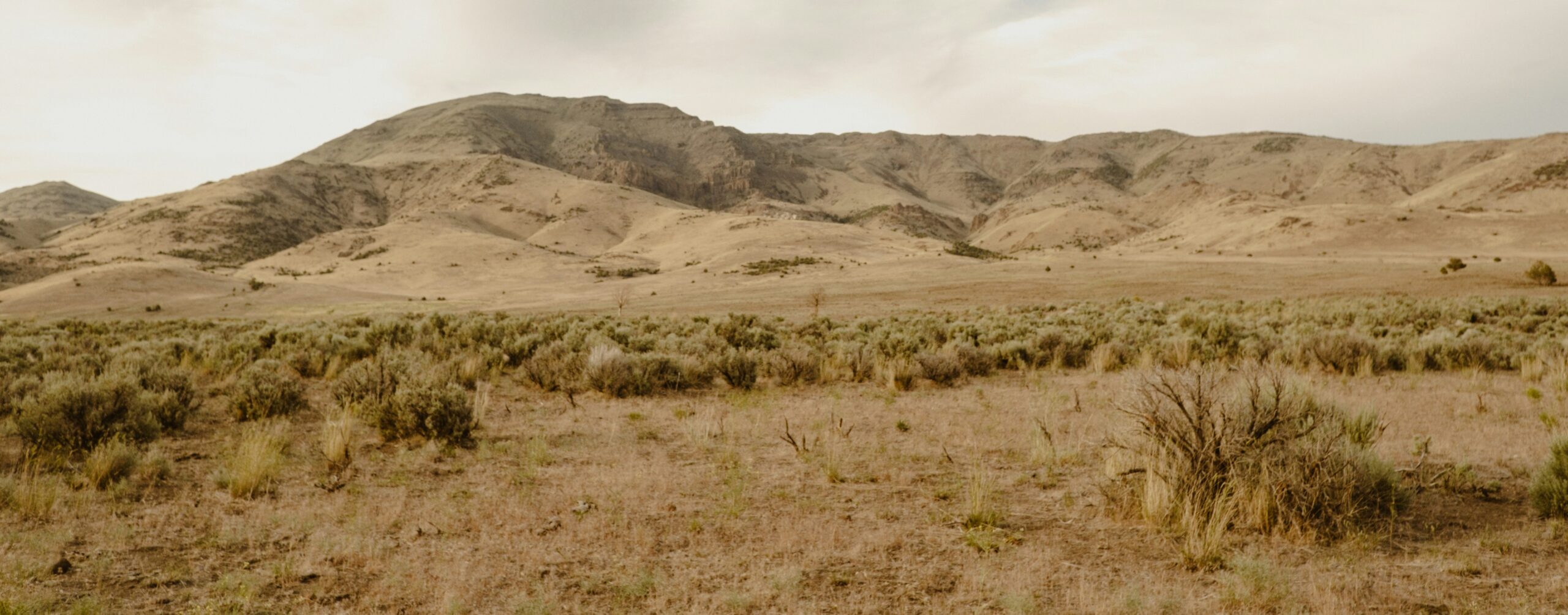 the Nevada desert with mountains in the backgroud